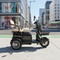 Airo Elderly Electric Tricycle | 3-Wheel Passenger Mobility Scooter with 2 Seats & Basket for Shopping/Kid Pickup