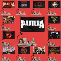 Pantera Inspired Rock Music Flag 3x5 FT 90x150cm Polyester Decorative Banner Tapestry For Music Fans Bedroom Wall Decoration