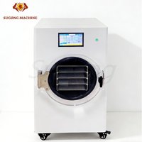 Home Freeze Dryer Food Grade Stainless Steel Lyophilizer Low Noise for Fruits Vegetables Meat Drying