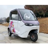 New fully enclosed electric tricycle household with shed women pick up and drop off children adult transportation battery car