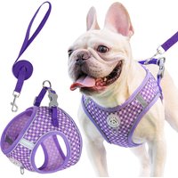 New style dog leash anti-sudden rush adjustable for short leash round rope walking comfortable to hold pet leash for dog