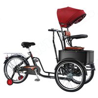 The New Elderly Tricycle Reverses, Donkey Pedals, Tricycle for The Elderly, Bicycle for The Elderly, Small Manpower To Pick Up