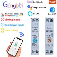 TUYA GBDQA 63A 1P+N WIFI Smart Switch Energy Meter Kwh Metering Monitoring Circuit Breaker MCB Remote Control Circuit Breaker