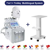 H202 Hydra petite bulle 7 en 1 Hydro Microdermabrasion Aqua Peel beauté Machine faciale avec masque Led chariot de nettoyage de la peau du visage