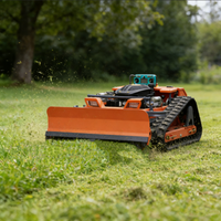 Customized New Crawler Grass Cutter Lawn Mover Remote Control Lawn Mower Robotic Lawn Mowe CE/ISO Certified Sale Garden home