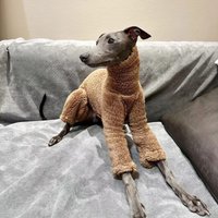 Zimowe ubrania dla psów Wysoki kołnierz Dwustronny polar Ciepły szaryhound / Whippet / Mały i średni płaszcz dla psa