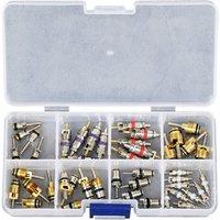 45pcs Automotive Air Conditioning Valve Core Kit Repair Replacement Accessories For R134a,bmw, Fucan,jetta,citroen,volvo,hyundai