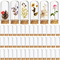 40pcs Glass Cloche Bell Jars with Cork Lids 3x8cm Dome Display Containers Elegant Decorative Message Bottles Home Wedding Decor