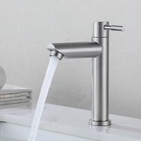 Basin Faucet 304 Stainless Steel Single Cold Water Tap Black Silver Color Deck Mounted Basin Sink Tap G1/2