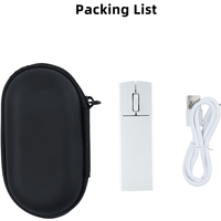 Mini Wireless Mouse Rectangular Block Rechargeable BT 2.4G Dual-mode or 2.4G Version Portable Mause Speech PPT Gift Storage Box