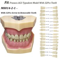 Frasaco AG3 Typodont Fit dentaire 32 pièces à visser pratique remplissage gomme douce dents Gingivae modèle M8014-2-1 dents de remplacement