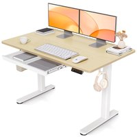 Seang Electric Standing Desk with Drawer 120 x 60 cm, Home Office adjustable Desk 80kg Load Capacity with 3 Memory Smart