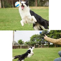 Interactive Dog Toy Squeaky Chew Toy For Entertainment And Dental Health Durable Large Dog Toys