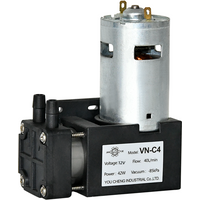 -85kpa 40L/min Mini DC Vacuum Pump 12V 24V Negative Pressure Suction Piston Cupping Small Vacuum Pump