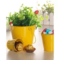 1pc Mini Metal Iron Flower Pot with Handle Hanging Balcony Garden Office Planter Mini Bucket Candy Basket Home Decor