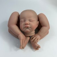 20-inch Already Painted Reborn Doll Kit August With Painted Hair and Cloth Body Vinyl Reborn Doll Parts DIY Mold