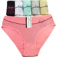 Women's cotton briefs sexy print Ladies panties big size mid-rise women underwear cotton crotch 2XL 3XL 4XL 6 Pcs/set