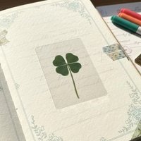 1-10Pcs Lucky Clover Postcards Grass Four Leaf Clover Bookmarks Lucky Clover For Wedding Birthdays Gifts Acrylic Bookmark Cards