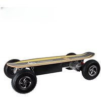 800W Electric Skateboard with Remote Control for Skateboard Enthusiasts