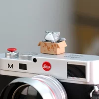3D Cartoon Kitten Camera Hot Shoe Dust Protection Cover for Leica Canon Nikon DSLR Sony Micro SLR Universal