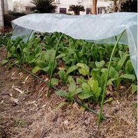 2/2.5m Greenhouse Tunnel Foil Plastic Yard Horticultural Polythene Sheet Plant Cover Household Garden Supplies