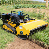 Customized CE EPA Approved All Terrain Remote System Flail Lawn Mower DIY Industrial Grade