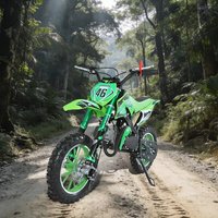 Customized 49Cc 2 Stroke Kid Gas Powered Motorcycle Mini Dirt Bike Small Fuel Consumption 1.5L Motorbike