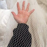 Orchard anti hail net fish pond anti bird net goji berry cherry grape net greenhouse hail net locust and debris protection