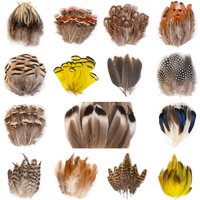 Natural Pheasant Peacock Pheasant Feather Wholesale Small Plume Handicraft Accessories for Jewelry Creation Holiday Decoration