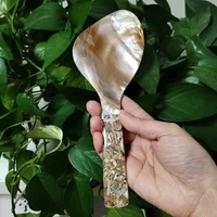 Mother of Pearl Rice Spoon Natural Shell Rice Paddle Heat Resistant Rice Cooker Spoon MOP Scoop for Home Kitchen Tool
