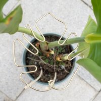 Monstera Stabilizer Turtle Shell Bambus-Klemmset für Kletterpflanzen, unterstützt gesunden Wachstum, Metall-Gartenpflanzenstützen