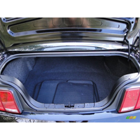 2 szt. Tylne, automatycznie otwierane, sprężynowe amortyzatory do Forda Mustanga GT Coupe S197 2005-2014 z oryginalnym spojlerem Mk5, rozpórki gazowe do bagażnika.