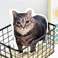 oiiai Internet celebrity cat funny alien pillow printed pillow, high-quality stuffed plush cushion, fan's gift,birthday gift