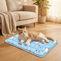 Cartoon Pet Cooling Mat Anti Bite Self Added Water Cat Sleeping Pad Moisture-proof Non-Slip Pet Ice Cushion for Small Dogs