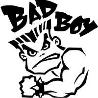 BAD BOY GALDRIZ funny car sticker vinyl decal white/black for auto car stickers styling car decoration 15cm*15cm