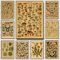 Botanical Art Prints Mushroom Retro Poster Animal/Flower/Plant/Leaf/Butterfly Study Painting Vintage Study Room Home Wall Decor
