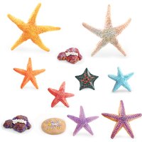 Realistic Sea Life Animal Starfish Figurine Vibrant Sea Star Growth Cycle Of Starfish Model Action Figure Educational Toy Gift