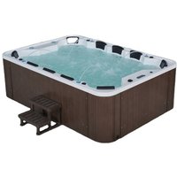 Luxurious Modern Outdoor Swim Spa 10 Person Factory Wooden Acrylic Massage Thermostat Bath Hot Tubs Villa Garden Spas