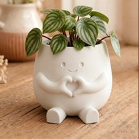 3D Printed Flower Pot Lightweight Plastic Planter Modern Home Decor Indoor/Outdoor Suitable for Pennywort & Succulent