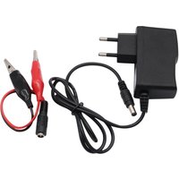 12V 1000mA Lead Acid Dry Battery Charger for Car Motorcycle 12 Volt 1A Electric Toy Tool Motor Power Charging Adapter with Clip
