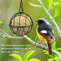 1Pcs Hummingbird Feeders Metal Suet Ball Bird Feeder Set With Hanging Chain Squirrel Proof Bird Feeders For Outdoor Garden