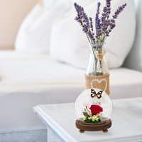 Spherical Glass Cover Ornament Domes Clear Display Cases Collections Creative Decorative Gifts Home Office 10 Plus Base