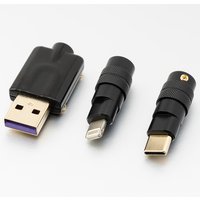 Applicable To C100 Core Apple Lightning Chip MFI Certified Android Type-C Realtek Alc5686 Digital Audio Decoding DIY Chip