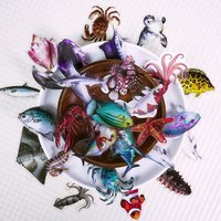 56 Pcs New Realistic Marine Animal Stickers - High Transparent PET Fish Decals for Creative Handcrafts RecordingYourLife Store