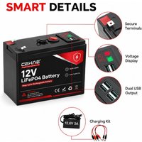 12V 12Ah LiFePO4 Battery for Outdoor Monitoring Camera Solar Street Light LED Fishing Lamp Mini Pump Battery Group