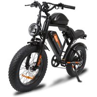 AliExpress JKING 002PRO Electric Bicycle 500W Motor 48V 20AH Lithium Battery Electric Bike with Hydraulic