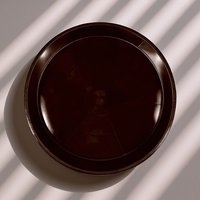 5Pcs Plant Pot Trays Round Plastic Flower Pot Saucers Raised Edge for Indoor Outdoor Garden Plants Soil Water Catcher