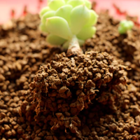 3-6mm Middle Akadama Clay Hard Nutrient soil 1000g