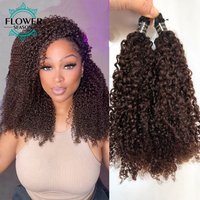 Ombre Brown Crochet Human Hair #T1B/4 Color Multi-Textured Kinky Curly Crochet Hair Extensions Pre-Separated 240g Full Head