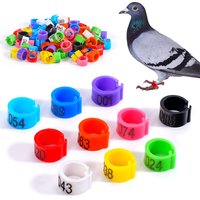 100Pcs Pigeon Foot Ring Feeding Supplies Bird Breeding Identity Recognition 9mm Snap-Fit Foot Ring 1-100 Identification Tools
